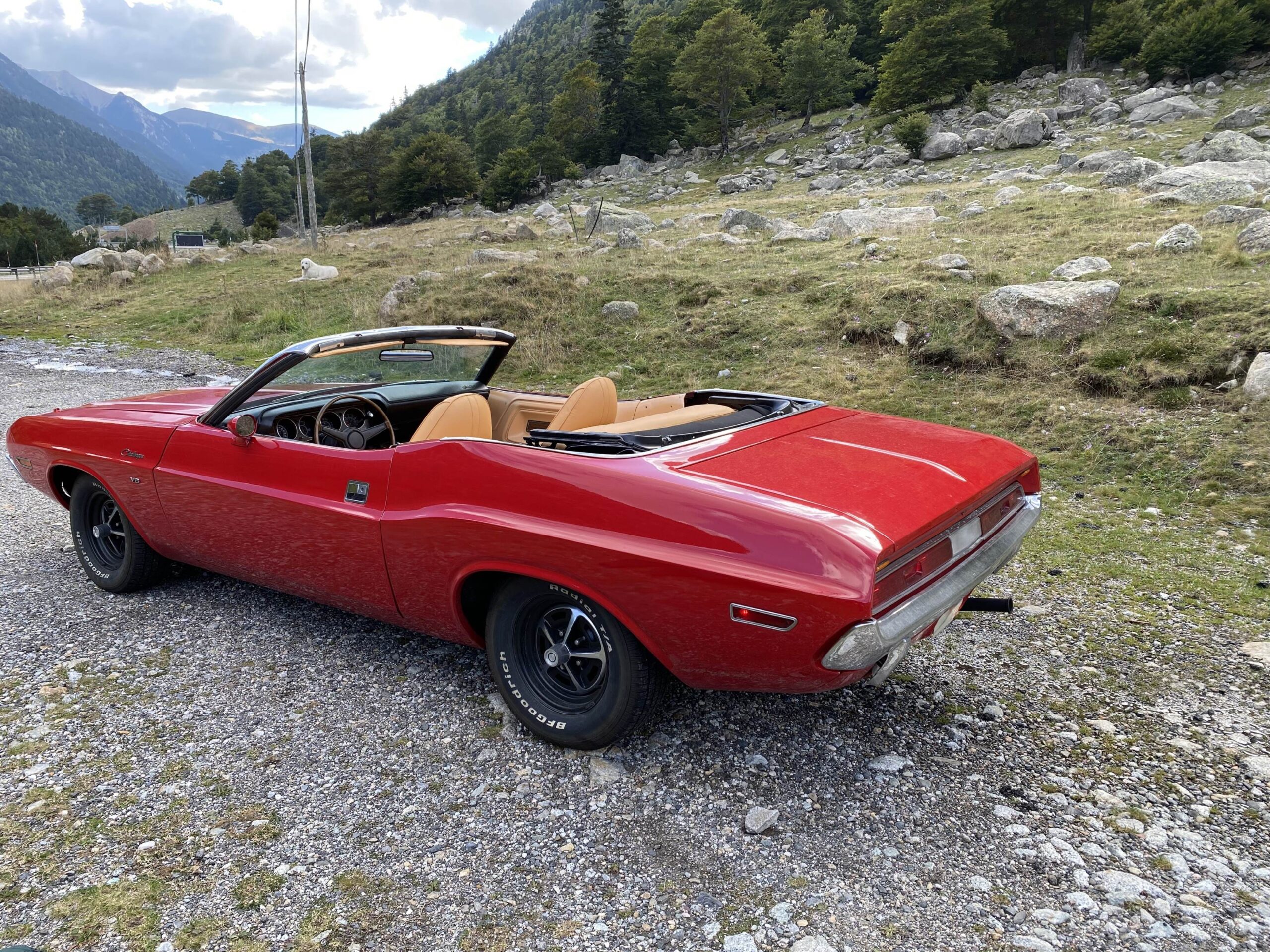 Challenger - Dodge Challenger Cabrio V8 - Galería 4