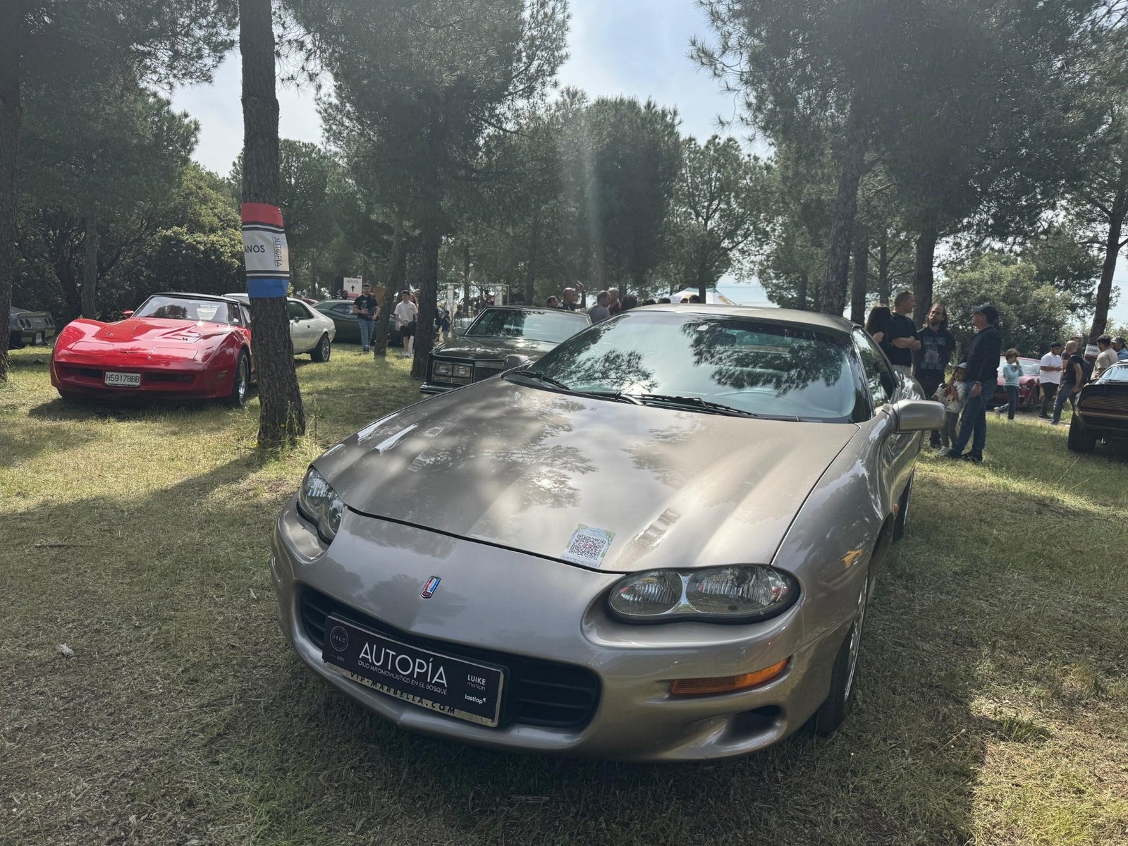 Recambios - Motor V8