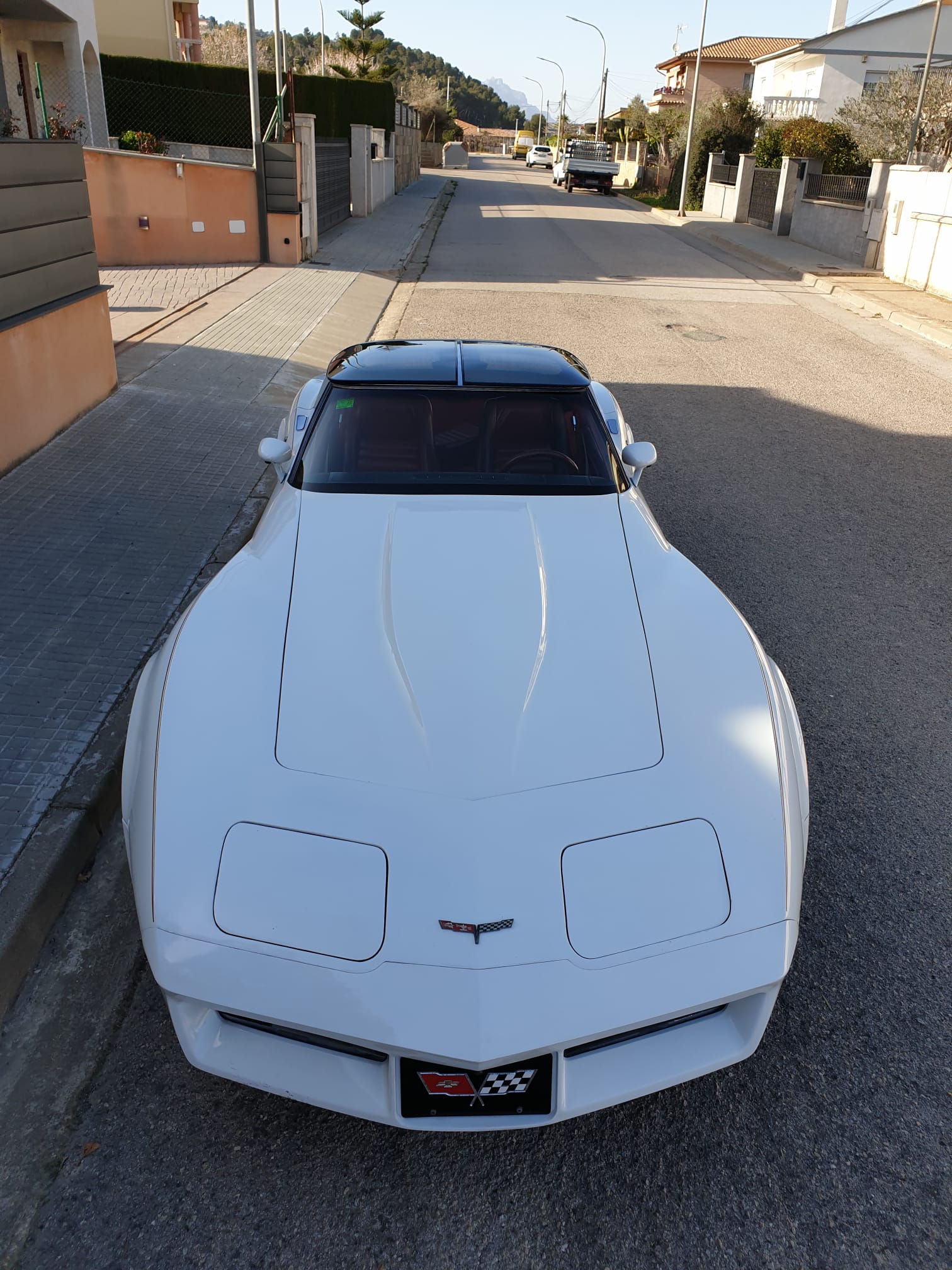 Chevrolet - Corvette C3 1981 - Galería 1