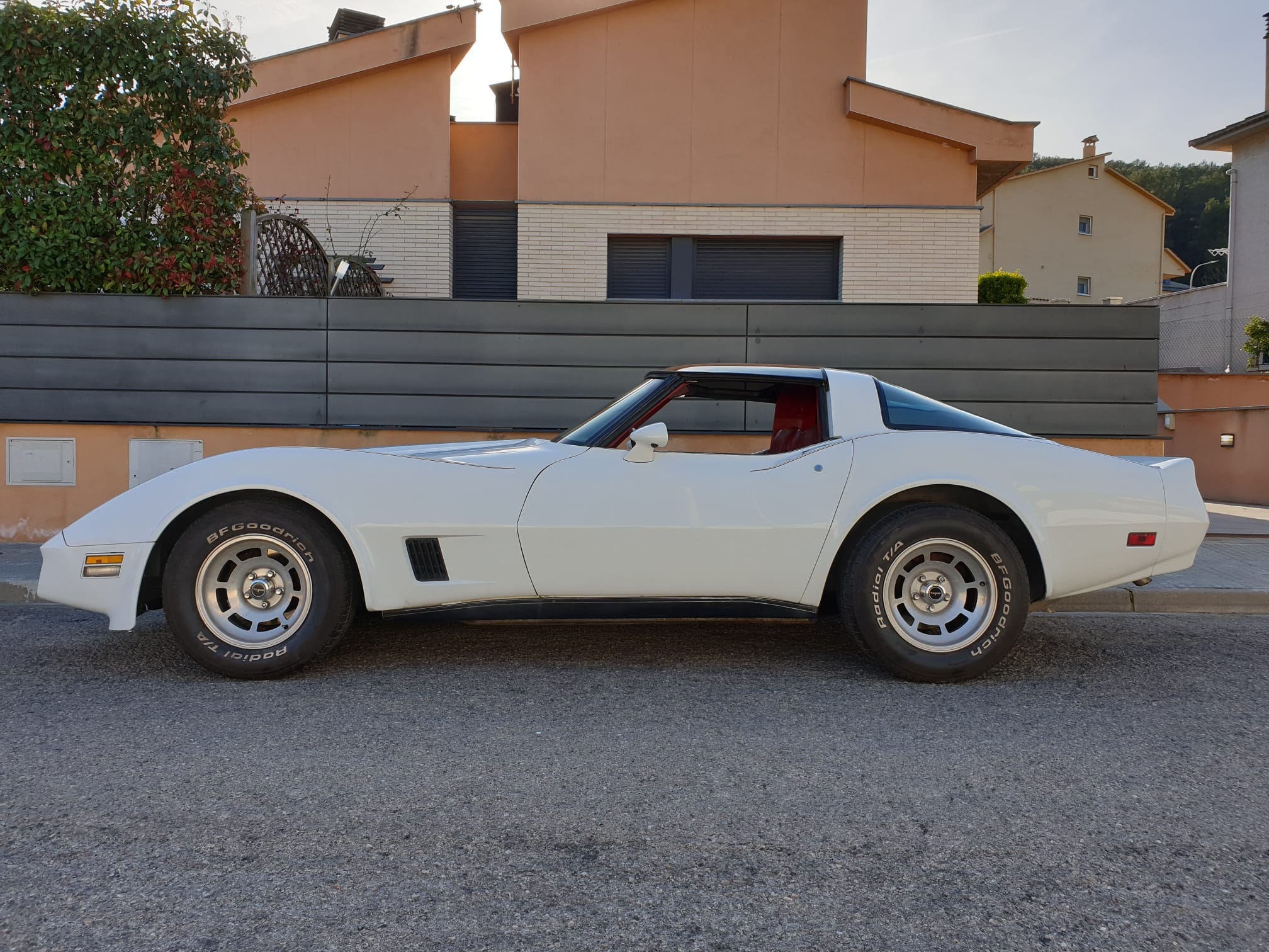 Chevrolet - Corvette C3 1981 - Galería 2