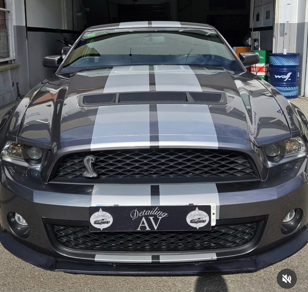 Ford - Ford Mustang Shelby GT500 5.4 V8 Supercharged - Galería 1