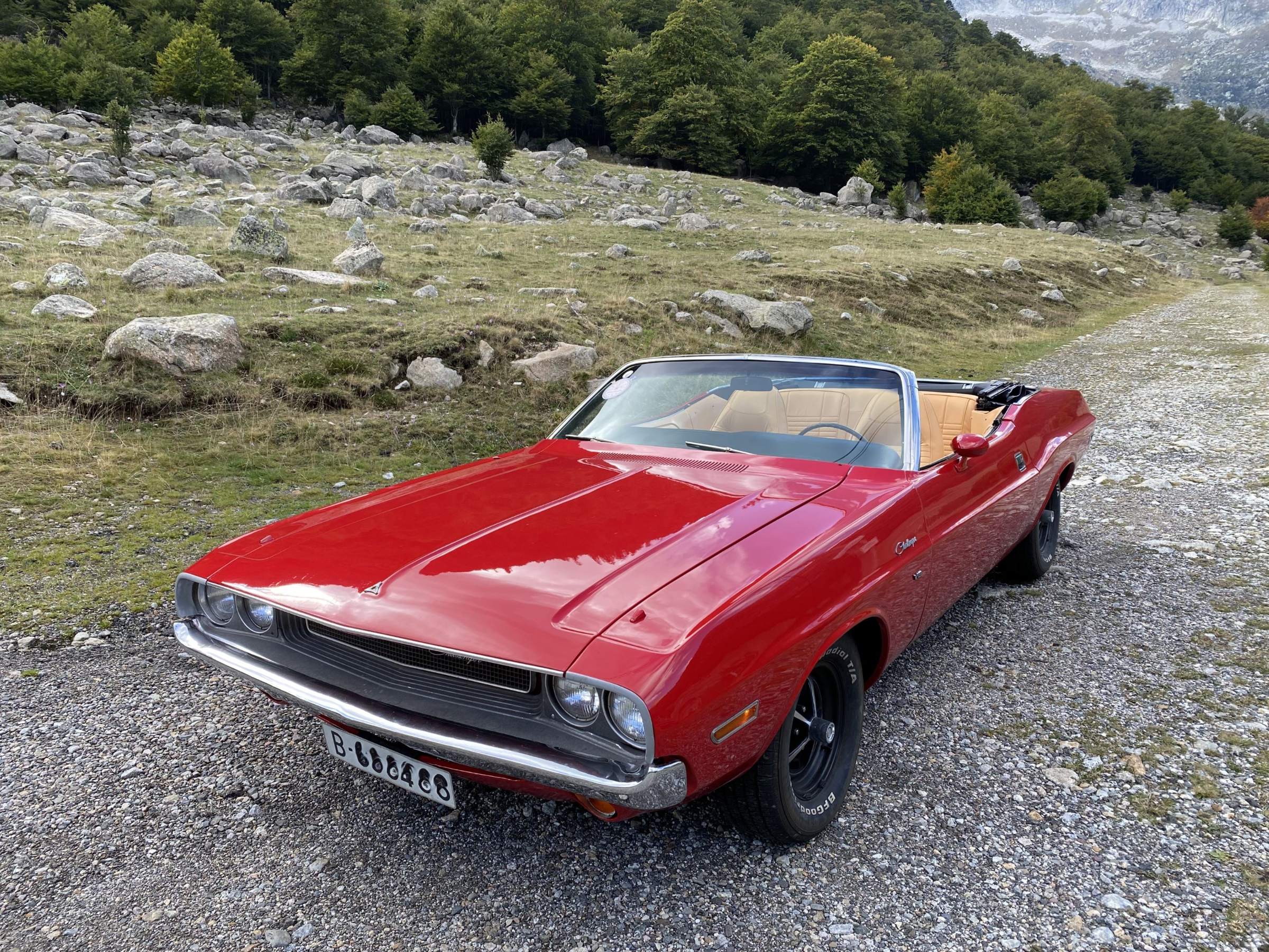 Challenger - Dodge Challenger Cabrio V8